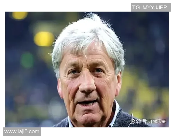 全球足球最帅球星大盘点 各国球迷眼中的魅力代表