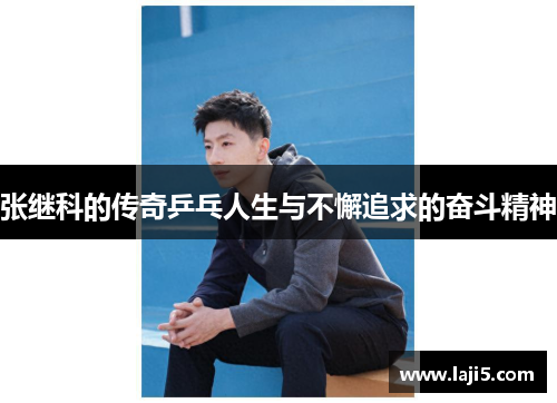 张继科的传奇乒乓人生与不懈追求的奋斗精神