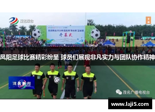 凤阳足球比赛精彩纷呈 球员们展现非凡实力与团队协作精神